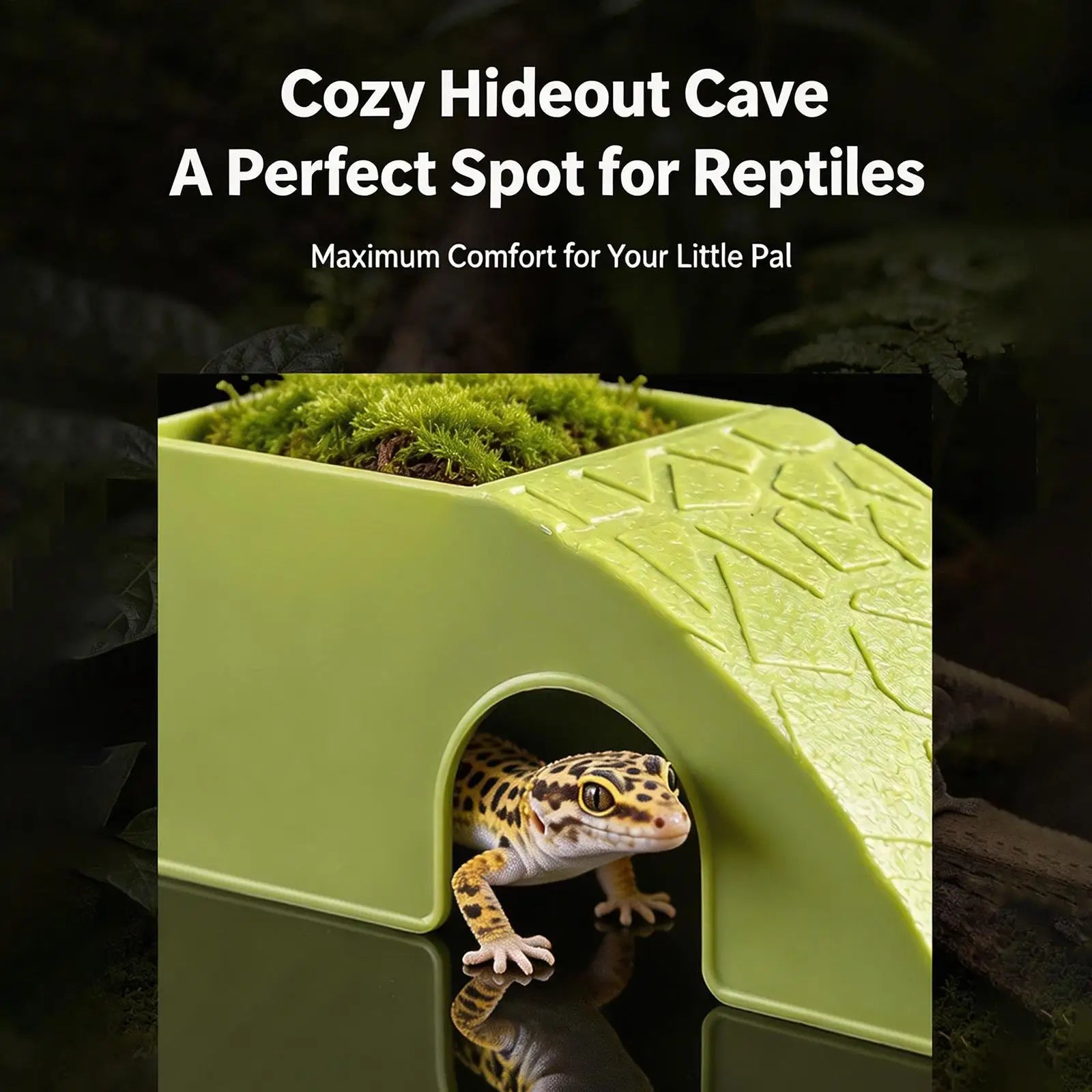 Reptile Food Dish 2 In 1 Decorative Shelter Water Bowl Terrarium Hideout Feeder