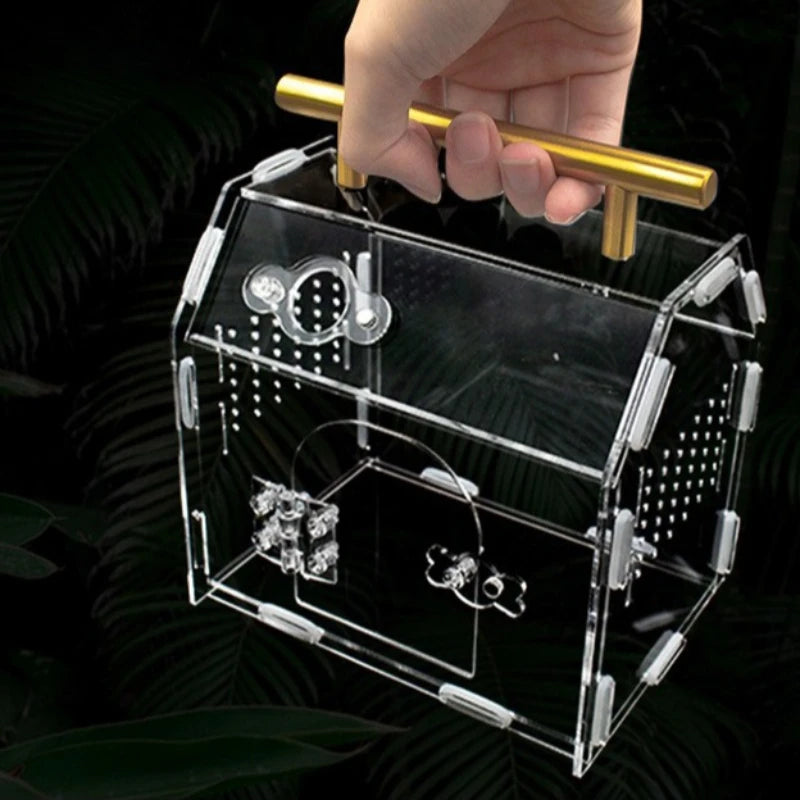 Reptile Terrarium Acrylic Portable  Small Reptile  Box Pet House