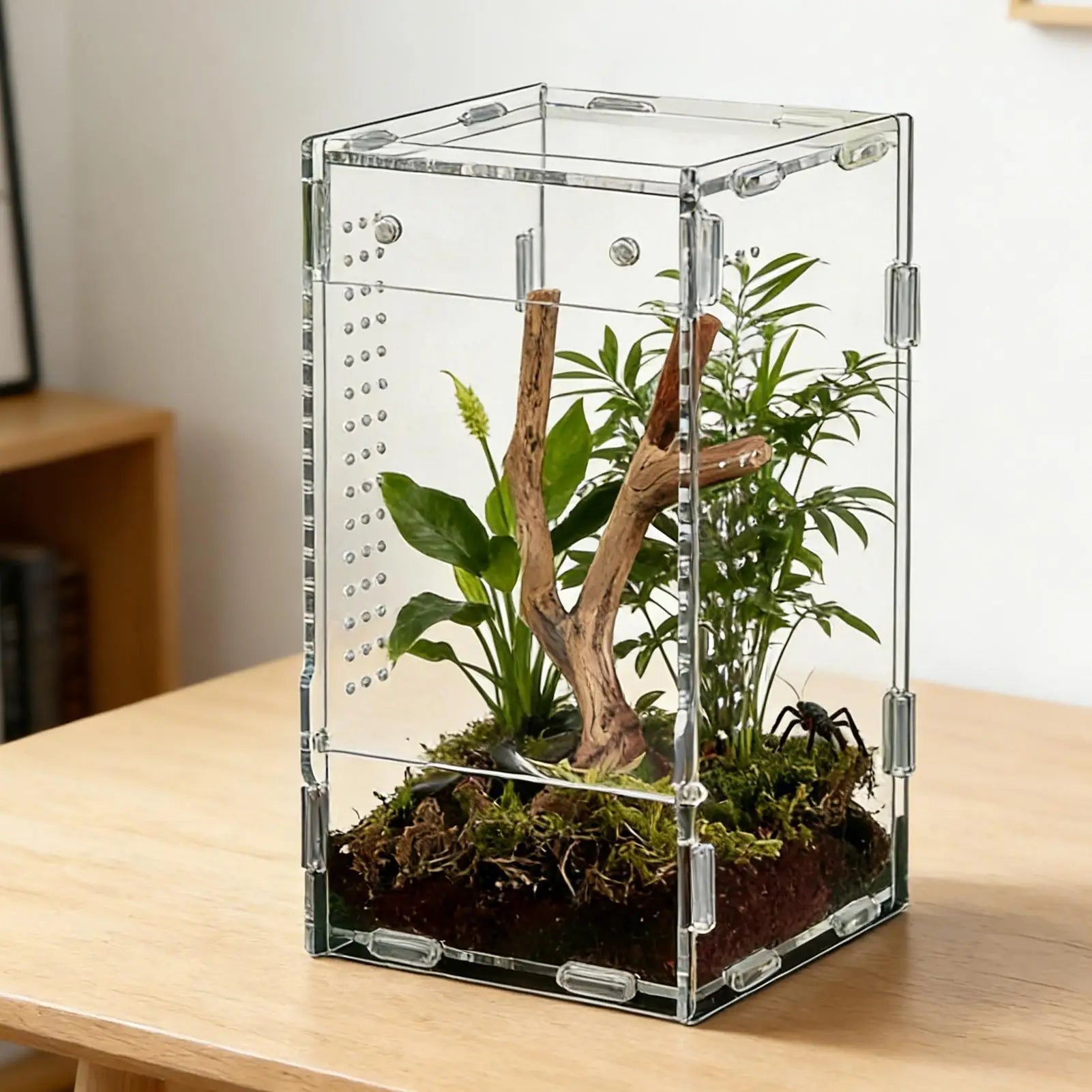 Reptile Enclosure Front Opening Escape Proof Habitat Acrylic Observation Home