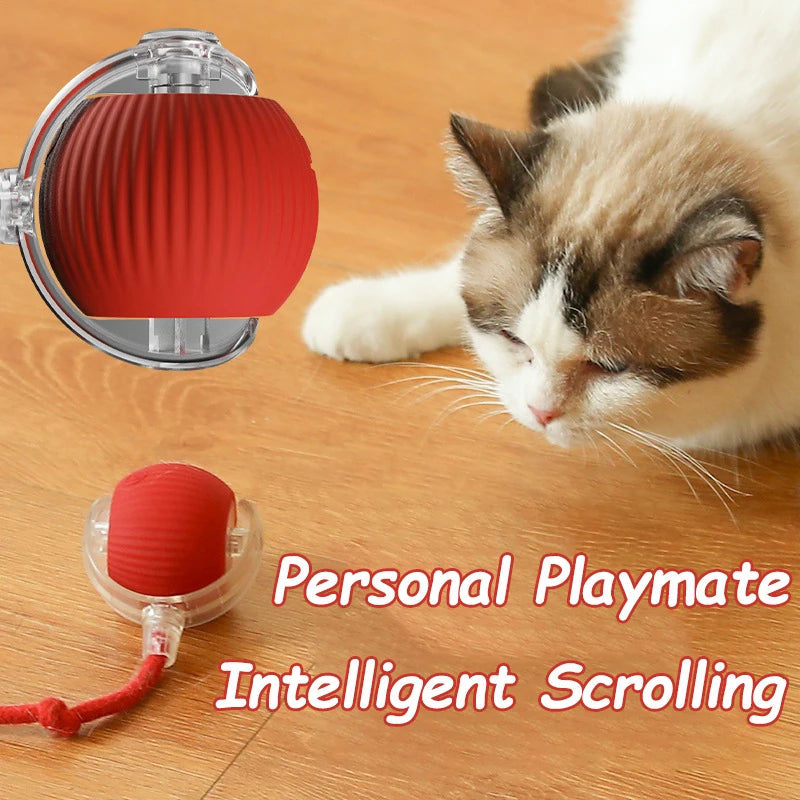 New Cat Interactive Ball Toy Automatic Rolling Ball Faux Tail Rechargeable Smart Pet Electric Toy Dog Cat Training