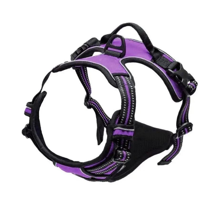 Dog Collars Harness Big Vests Leash  Accessories Medium Small Set