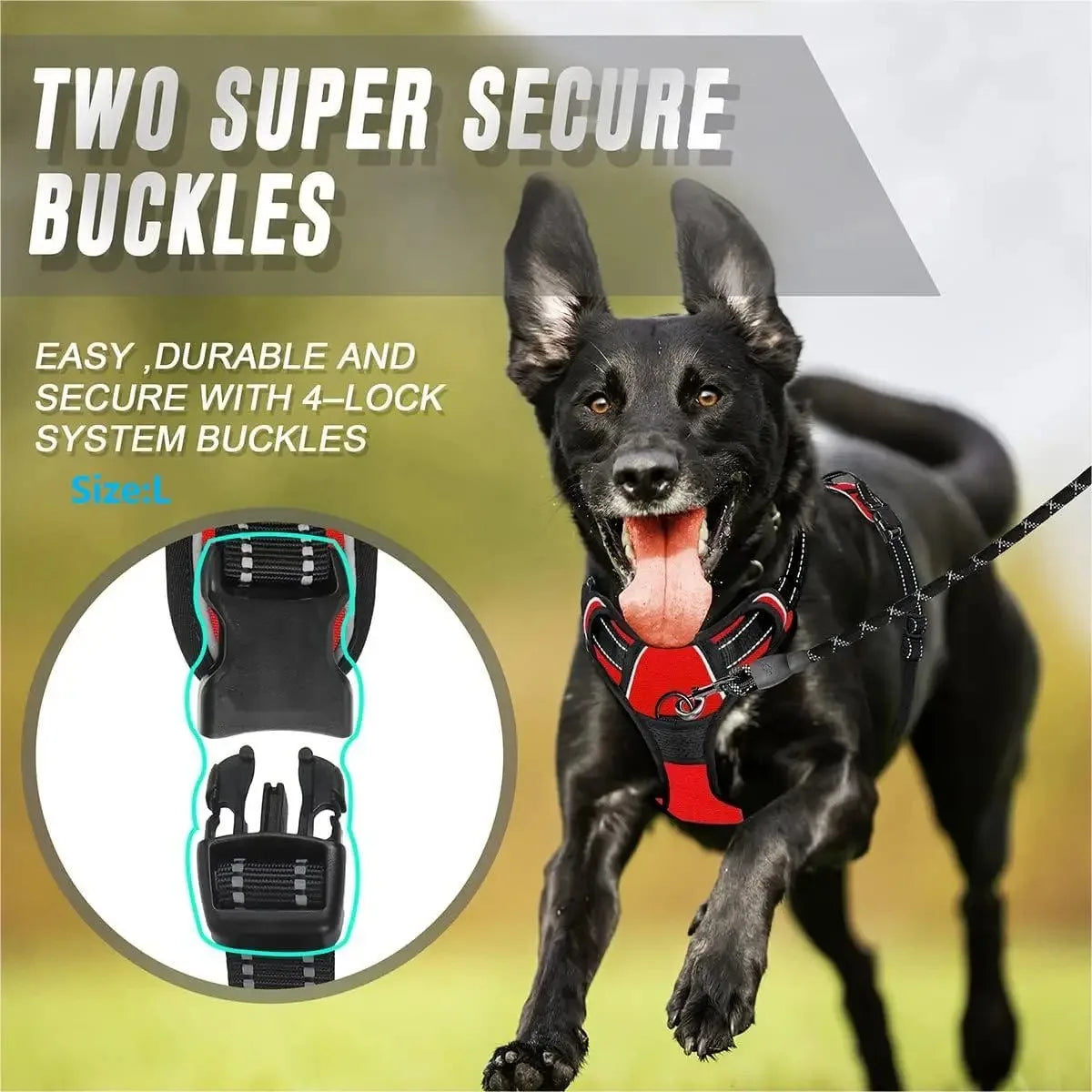 Dog Collars Harness Big Vests Leash  Accessories Medium Small Set