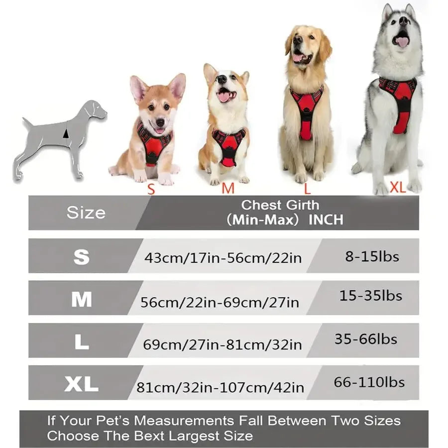Dog Collars Harness Big Vests Leash  Accessories Medium Small Set