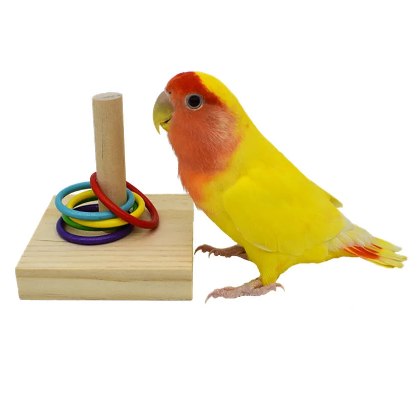 Bird Training Toys Set Wooden Block Puzzle Toys Colorful Plastic Rings Intelligence Training Chew Toy