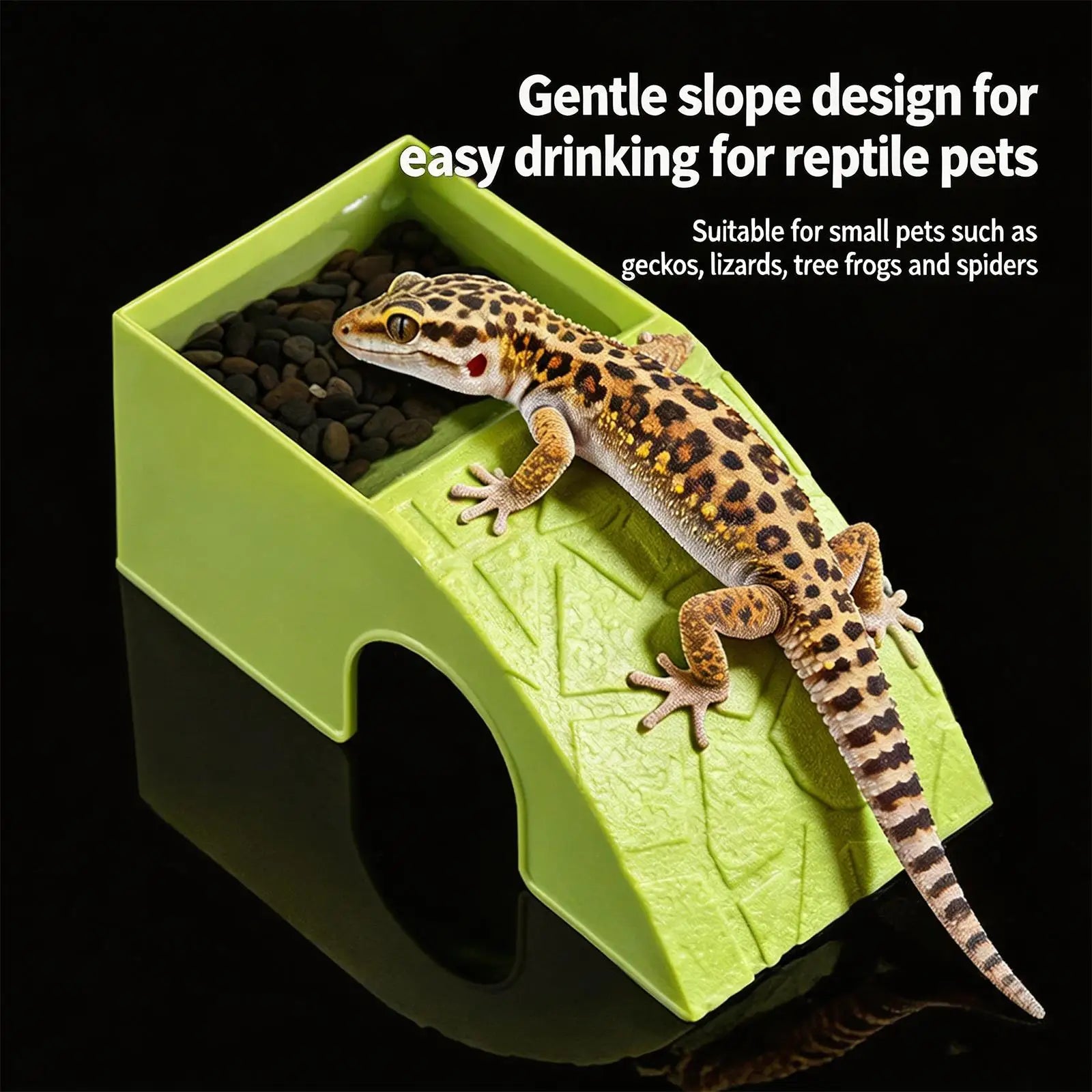 Reptile Food Dish 2 In 1 Decorative Shelter Water Bowl Terrarium Hideout Feeder