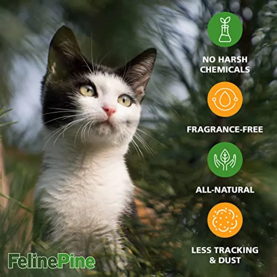 Feline Pine Platinum Non-Clumping Cat Litter 18lb Pack of 2 Natural Scented Premium Wood Pellets for Litter Boxes