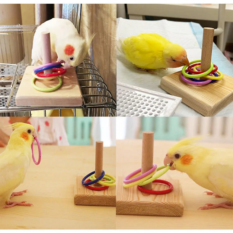 Bird Training Toys Set Wooden Block Puzzle Toys Colorful Plastic Rings Intelligence Training Chew Toy