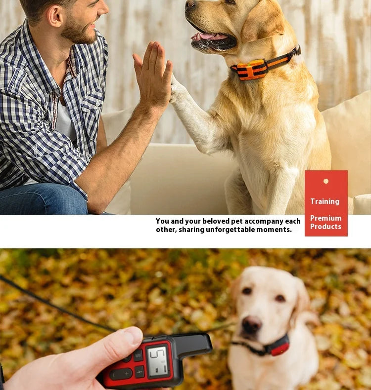Rechargeable Dog Training Collar 1650ft Remote Control Dog Training Collar with Adjustable Nylon Strap