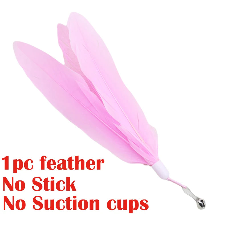 Interactive Cat Toy Handfree Cat Stick Kitten Teaser Wand Toy Suction Cup Feather Wand
Simulation Feather