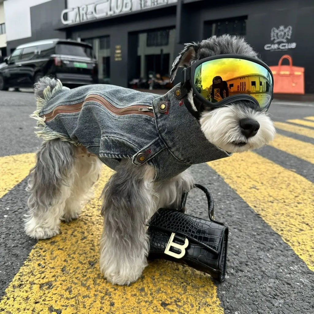 Spring Clothes for Small Medium Dogs Sleeveless Dog Shirt Cool Denim Vest Pet Jean small Dog For Cats Puppies