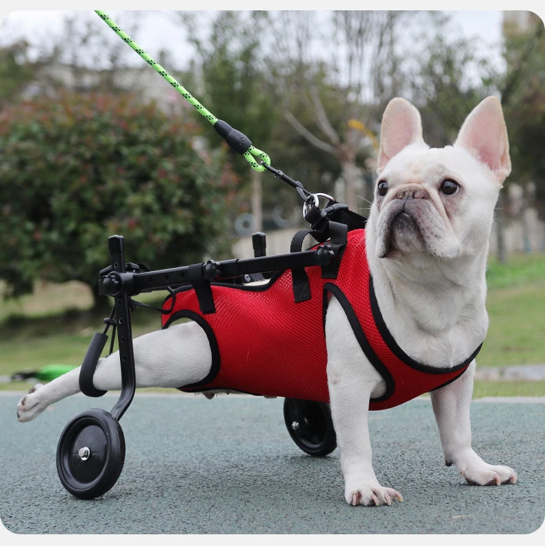 Disability dog travel assistive vehicle chest and back harness, dog rehabilitation exercise chest and back