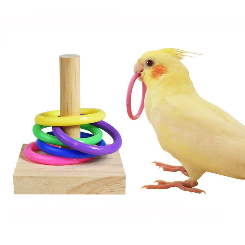Bird Training Toys Set Wooden Block Puzzle Toys Colorful Plastic Rings Intelligence Training Chew Toy