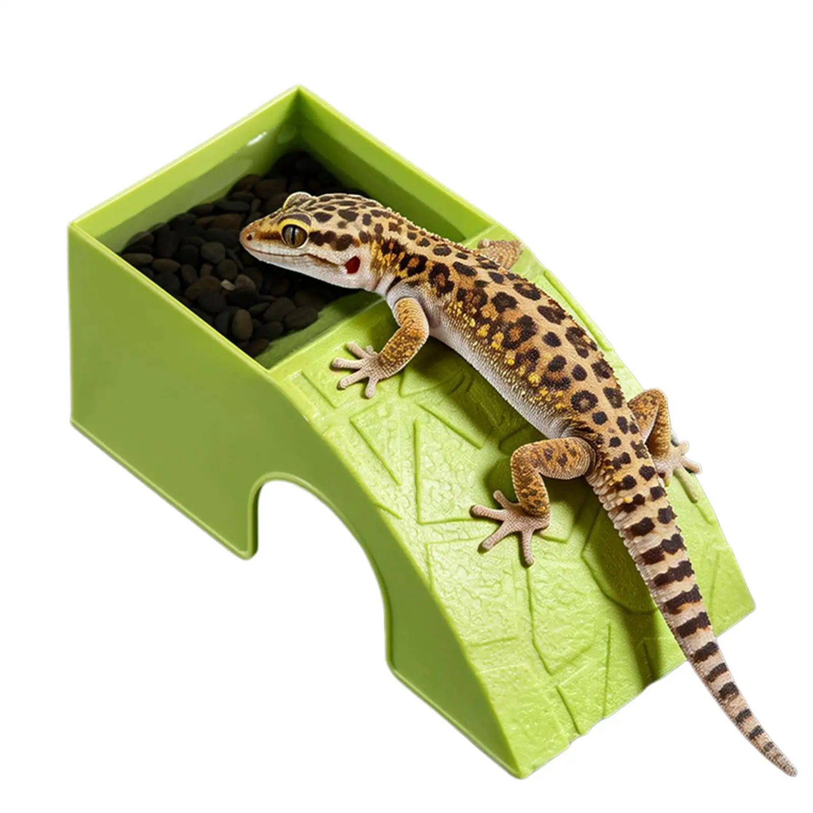 Reptile Feeding Dish 2-in-1 Food & Water Bowl with Shelter Non-Spill Resin Ornament for Bearded Dragon, Turtles Geckos Chameleon