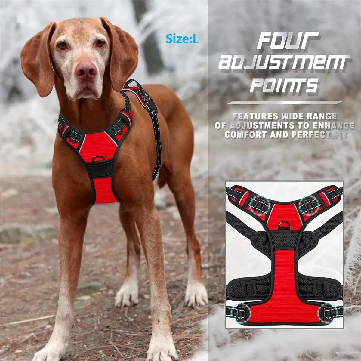 Dog Collars Harness Big Vests Leash  Accessories Medium Small Set
