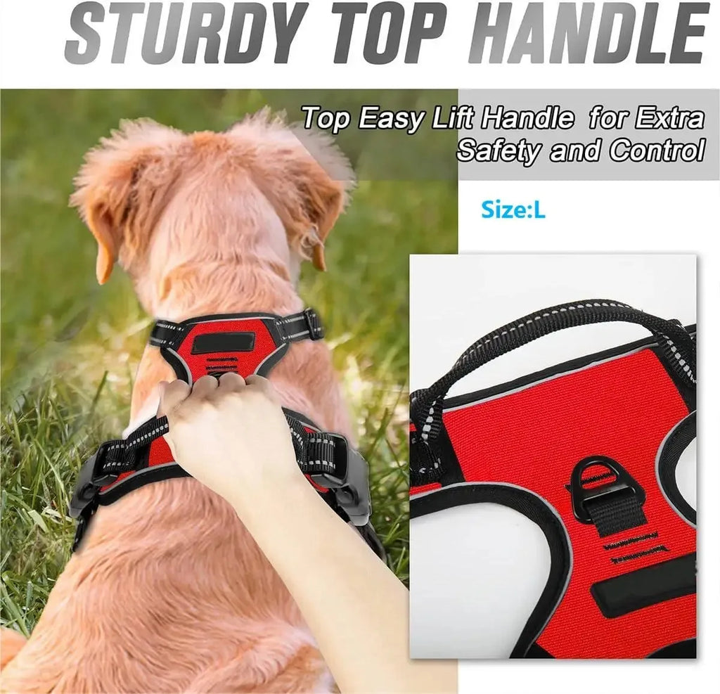 Dog Collars Harness Big Vests Leash  Accessories Medium Small Set