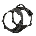 Dog Collars Harness Big Vests Leash  Accessories Medium Small Set